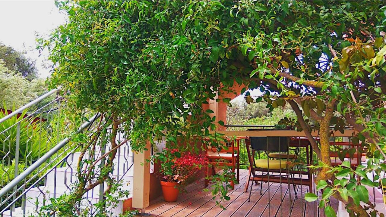 Kefalonia Apartments - Marias Studios - 2 Bedroom Apartment In Orchard, Spartia Exteriör bild