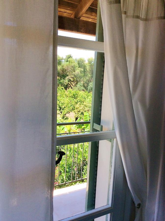 Kefalonia Apartments - Marias Studios - 2 Bedroom Apartment In Orchard, Spartia Exteriör bild